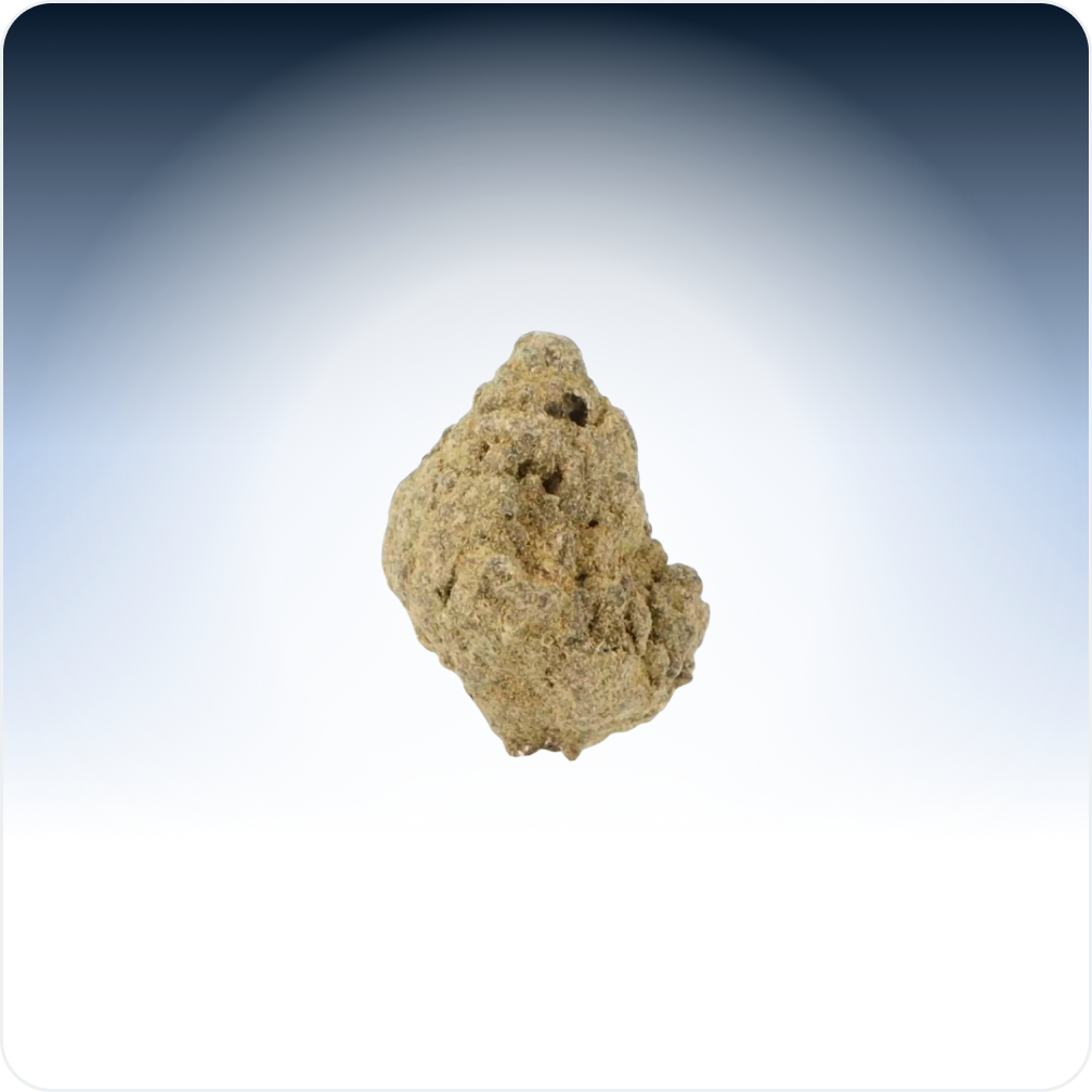Moonrock Pequeños Brotes