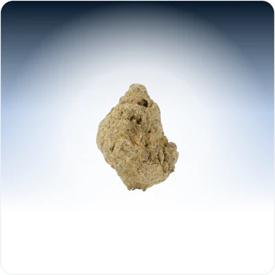 Moonrock Pequeños Brotes