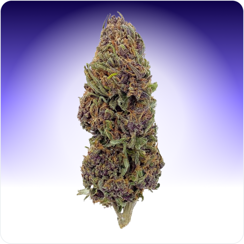 Purple Haze CBD
