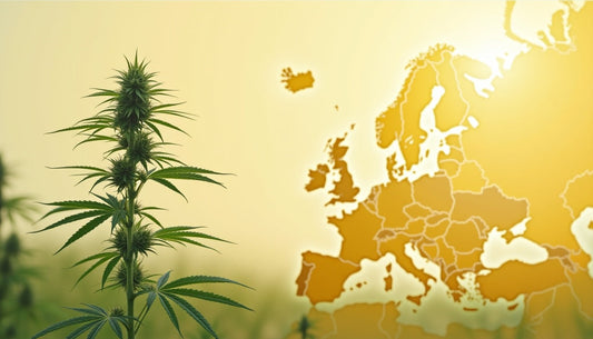 Connaître la législation du CBD dans l'Union Européenne