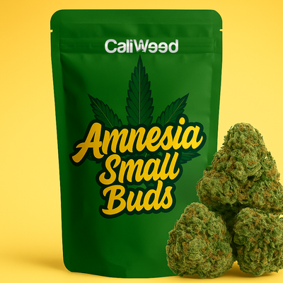 Amnesia Brotes Pequeños