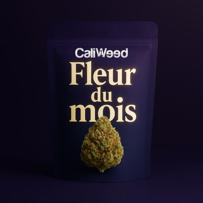 Flor del mes CBD