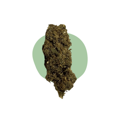 Amnesia 10-OH-HHC