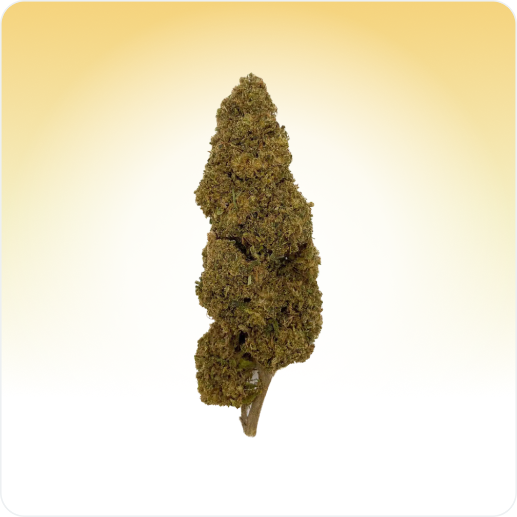 Jack Herer CBD