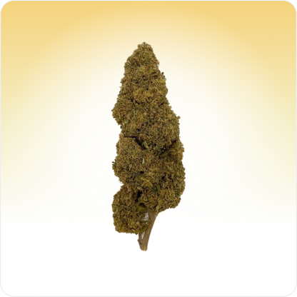 Jack Herer CBD