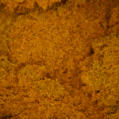 CBN Amarillo