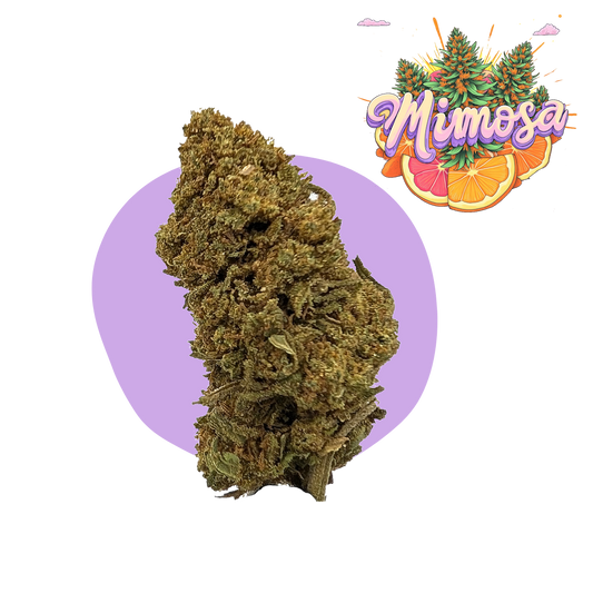 Mimosa CBD