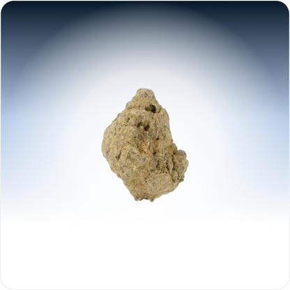 Moonrock Pequeños Brotes