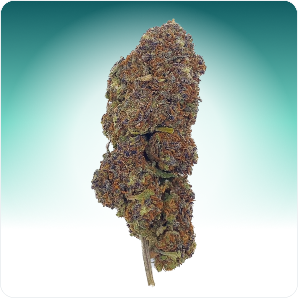 Northern Light Azul CBD