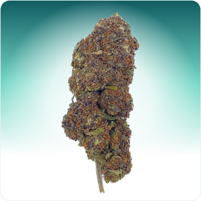 Northern Light Azul CBD