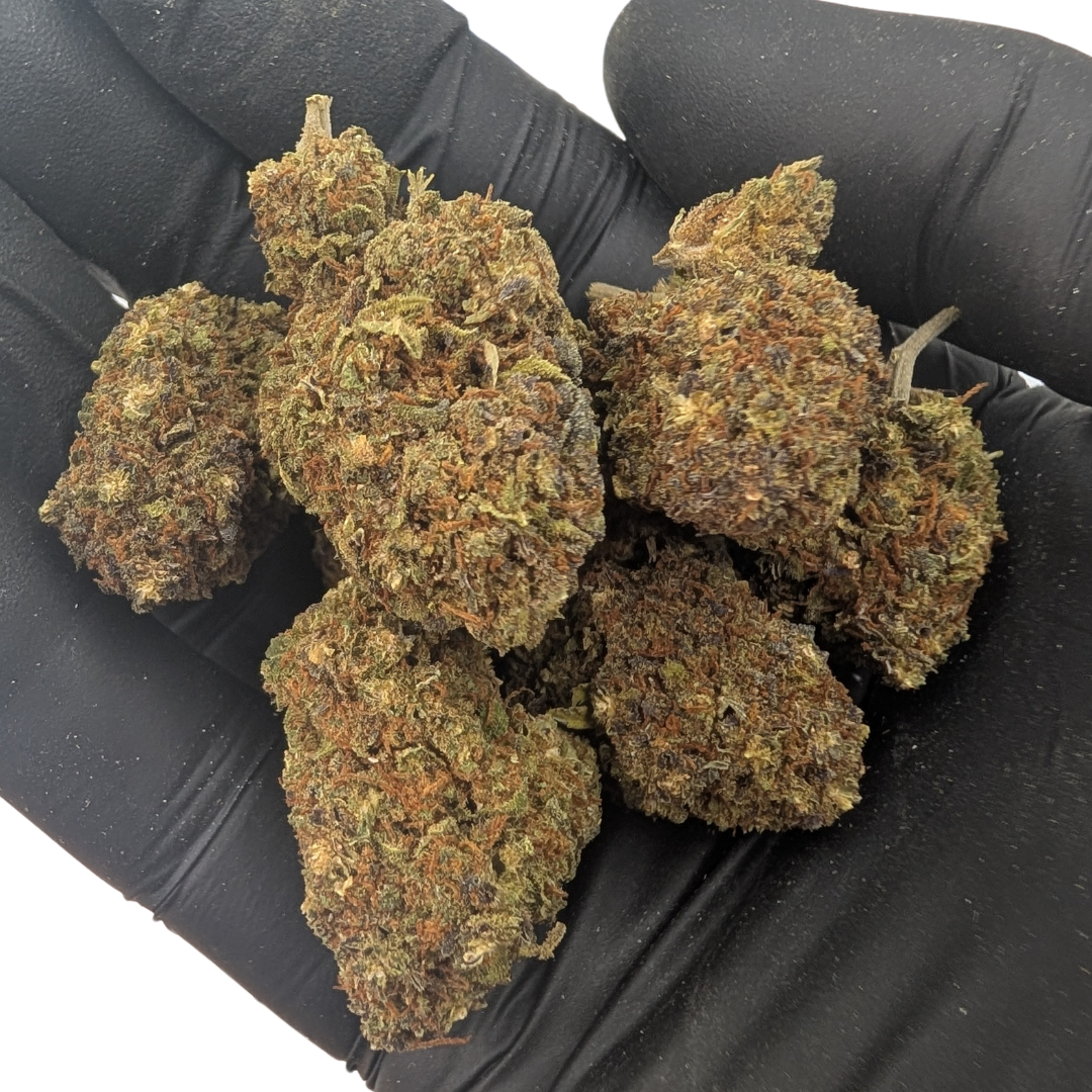 Northern Light Azul CBD