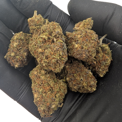 Northern Light Azul CBD