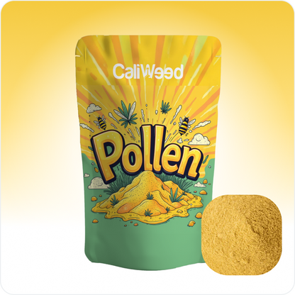 CBD Polen