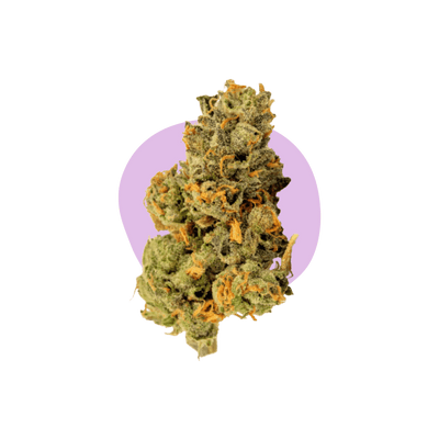 Runtz CBD
