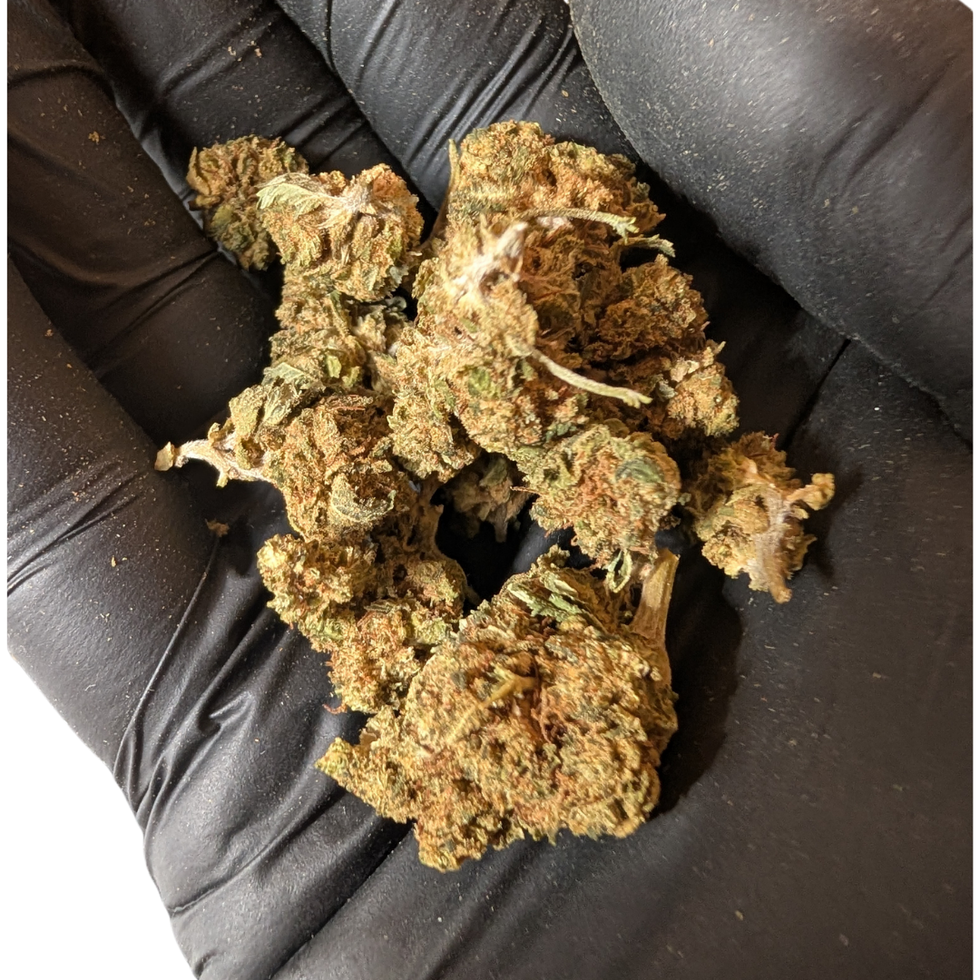 White Widow CBD