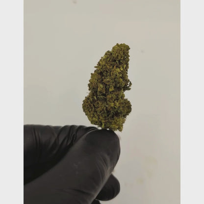 Jack Herer CBD