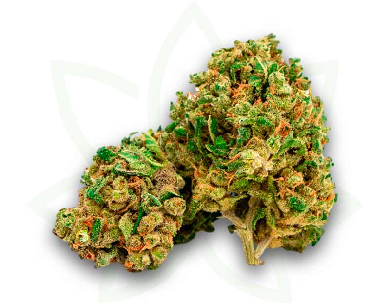 cbd nyc diesel flor de interior 3 5 10 20 50 gramos mafrenchweed 1