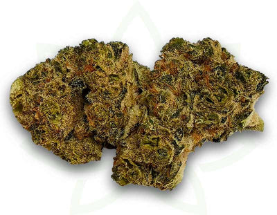 flor cbd tangie indoor 3 5 10 20 50 gramos mafrenchweed 2